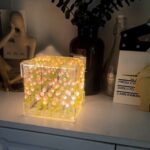 DIY Tulip Sear Mirror